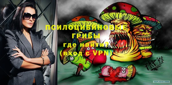 эйфоретик Туринск
