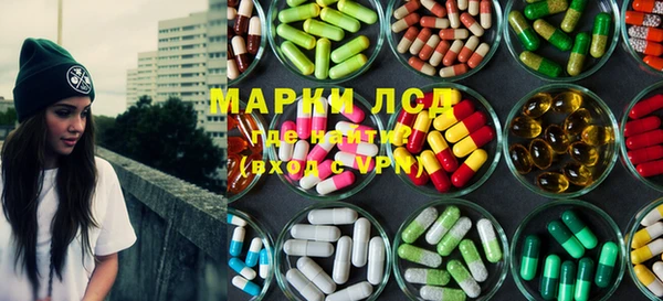 стаф Тында