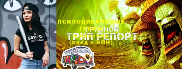 шишки Осташков