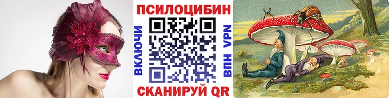 дарк нет официальный сайт  дарнет шоп  Славянск-на-Кубани  Псилоцибиновые грибы Cubensis 