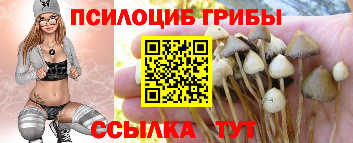 Славянск-на-Кубани  Псилоцибиновые грибы Magic Shrooms  Вход с VPN  Псилоцибиновые грибы ЛСД 